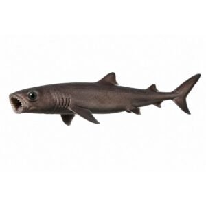 Cookie Cutter Shark website cookie cutter shark